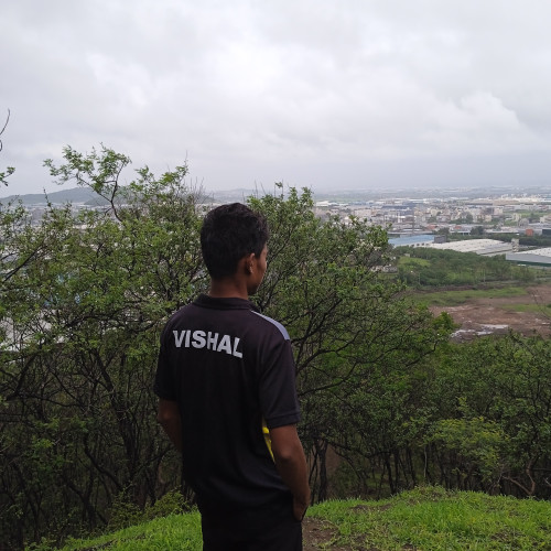 Vishal W. profile photo