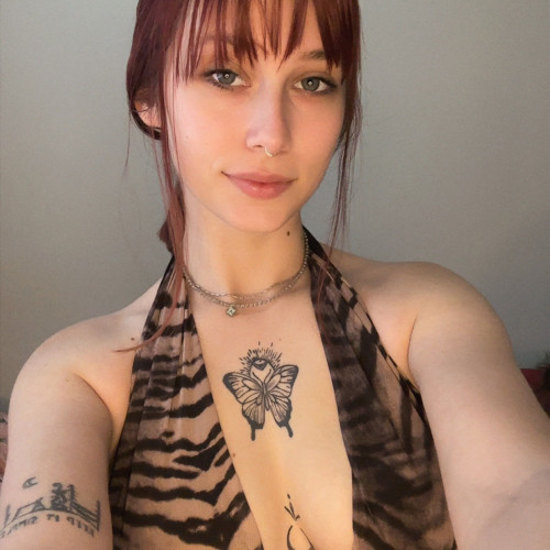 haley D. profile photo