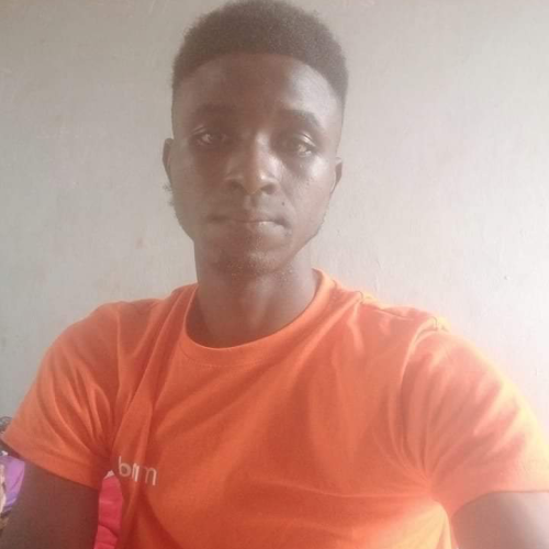 Oluwaseyi B. profile photo