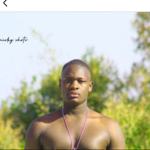 Allan S. profile photo