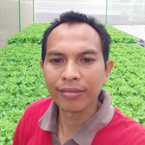 eka d.