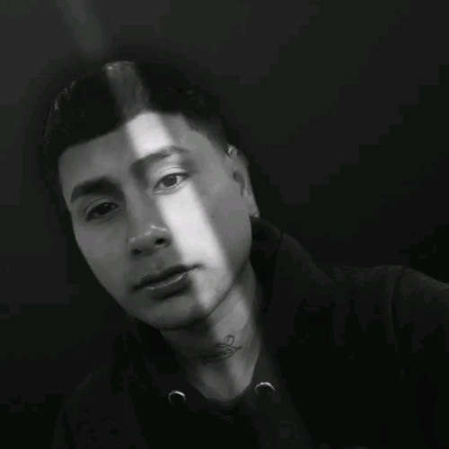 Maicol  Z. profile photo