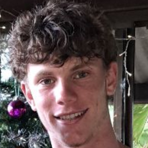 Ned D. profile photo