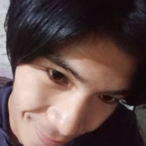 Jansen M.