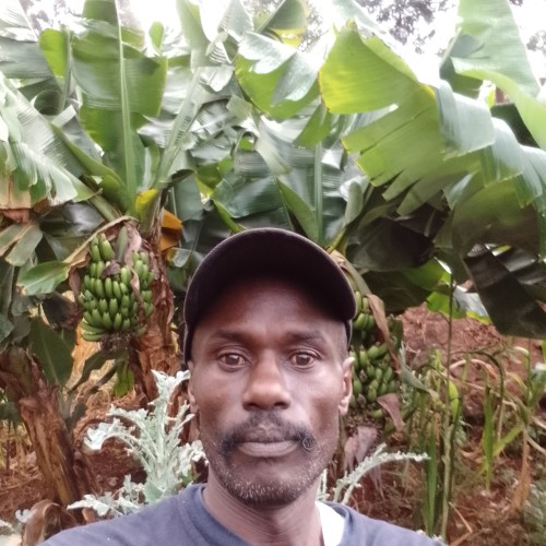 Stephen M. profile photo