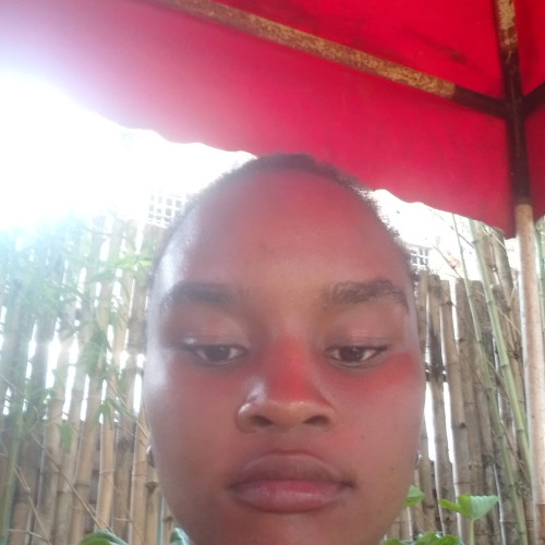 Virginia  M M. profile photo