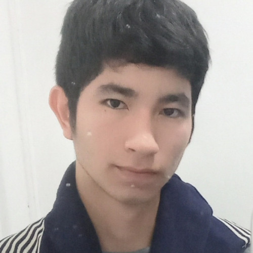 Yair M. profile photo