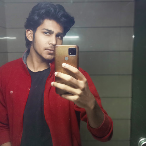 Ansh M. profile photo