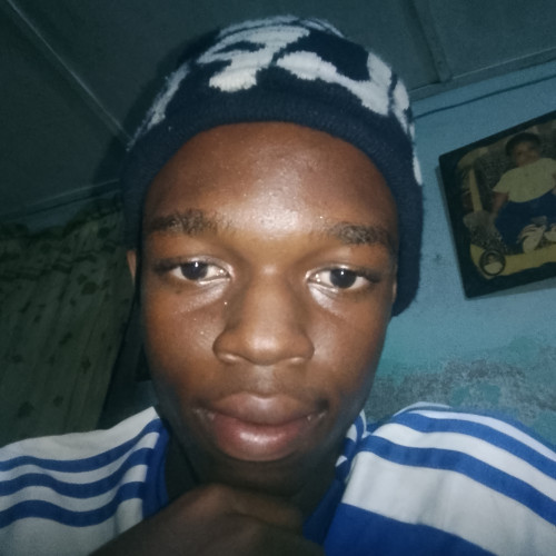 Stephen G. profile photo