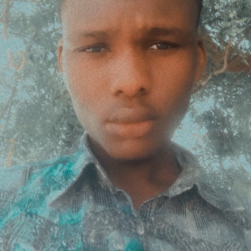 Ibrahim  M.
