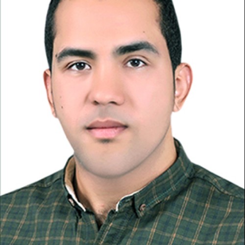 Hisham M. profile photo