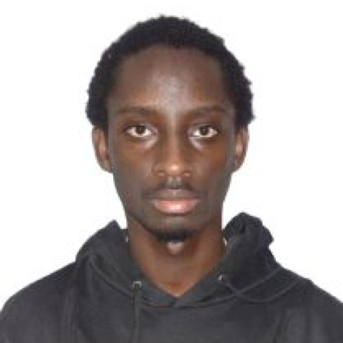 King D. profile photo