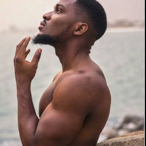 Adeusi D.