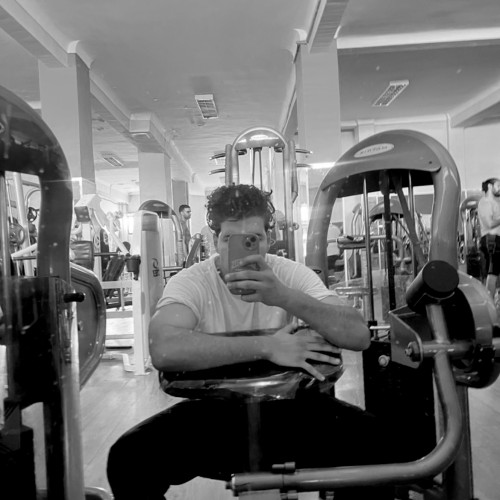 damir a. profile photo
