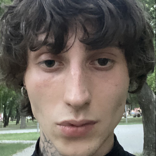 Daniel S. profile photo