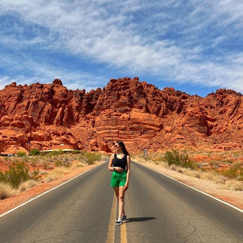 Zeynep D. profile photo