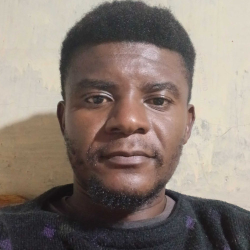 Ali Z. profile photo