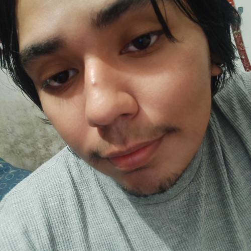 Sebastin S. profile photo