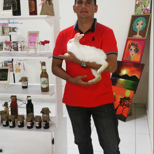 Francisco L.