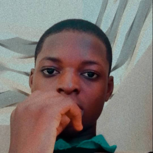 Somuyiwa A. profile photo