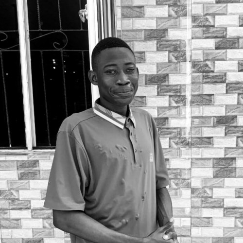 Oluwatobi S. profile photo