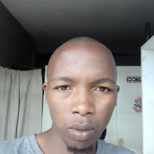 martin k. profile photo