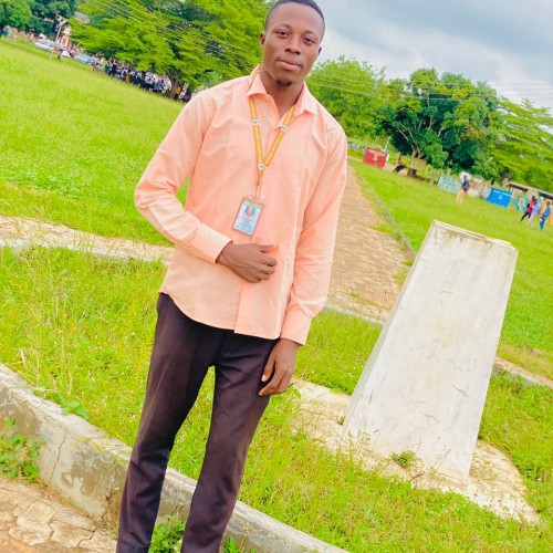 Oluwafemi M.
