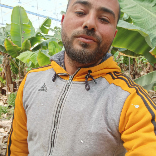 Maik D. profile photo