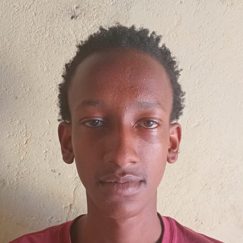 Job M. profile photo