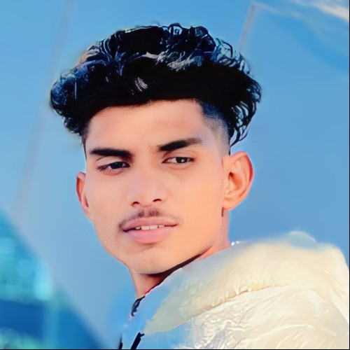 PUNIT N.