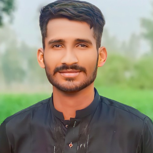 Ali H.