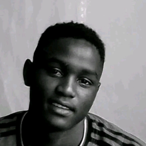 DOMINIC  K. profile photo