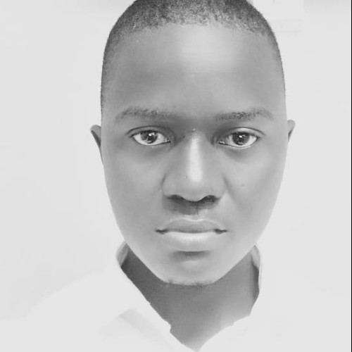 otiena n. profile photo