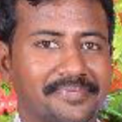 Jaya P. profile photo