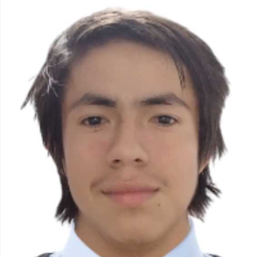 Mayer Franco M.