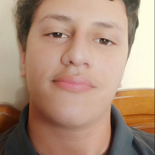 Noufel D. profile photo