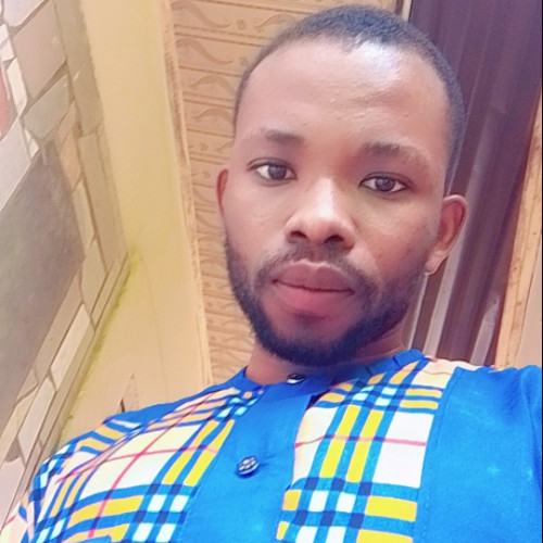 Chisom  D. profile photo