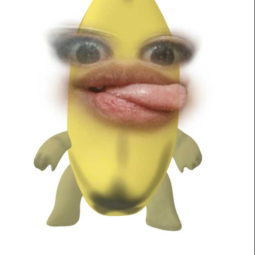 Dayanna L.