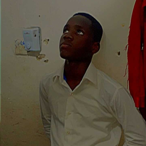 David K. profile photo