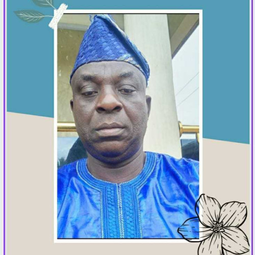 musibau a. profile photo