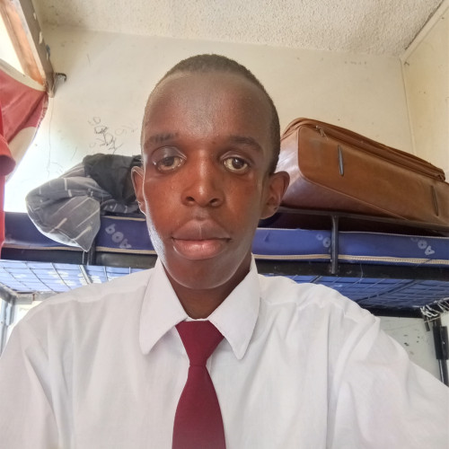 ARNOLD  M. profile photo