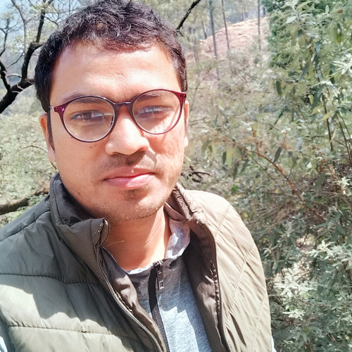 alok p. profile photo