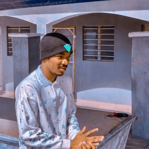 Chidera Precious  N. profile photo