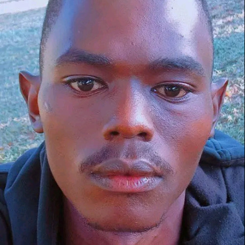 Harkins I. profile photo