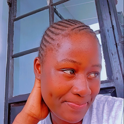 Brijo B. profile photo