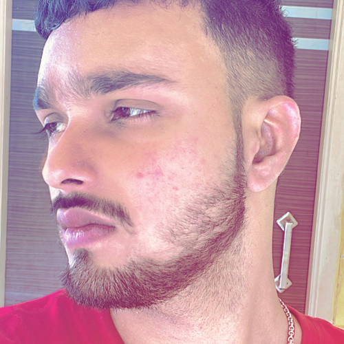 Aditya S.