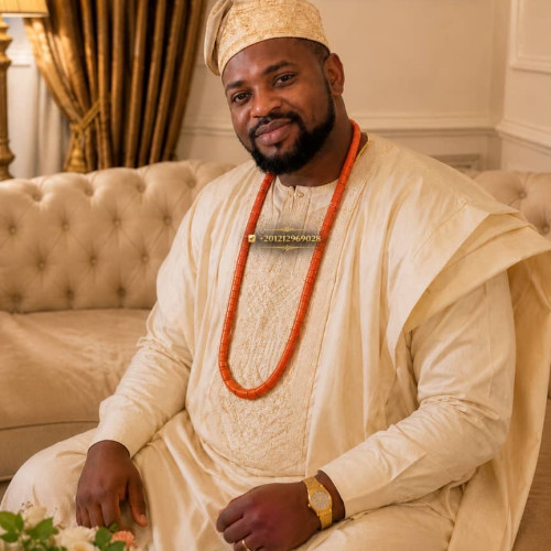 Adebowale O. profile photo
