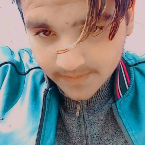 Arman M. profile photo
