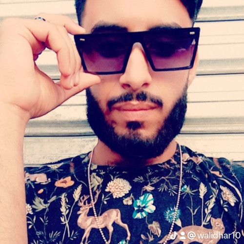 Walid  H. profile photo