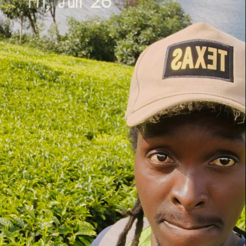 David M. profile photo